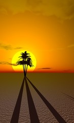 palmiers dans le désert
