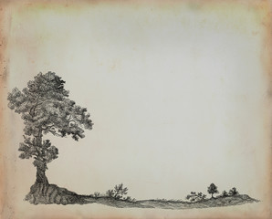 Trees illustration