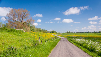 Fototapeta na wymiar Kolorowe krajobraz na wiosnę