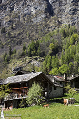 Fototapeta na wymiar Kabiny górskich-Valsesia