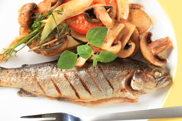 Grilled trout