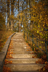Fototapeta na wymiar Treppe mit Herbstlaub