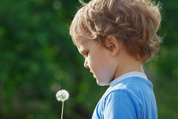 Little cute boy holding a dandelion outdoors