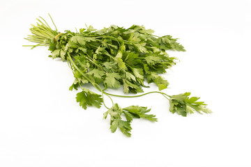 Bouquet of parsley on white background