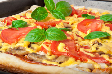 Slice of homemade pizza