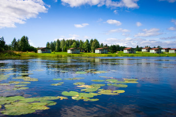 Beautiful forest lake with water lilies