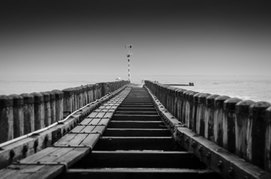 at the sea