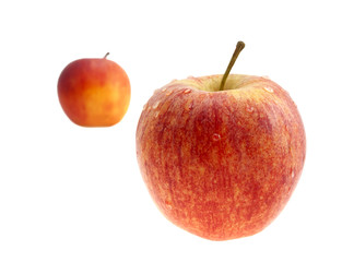 Two red apples with drops the waters.
