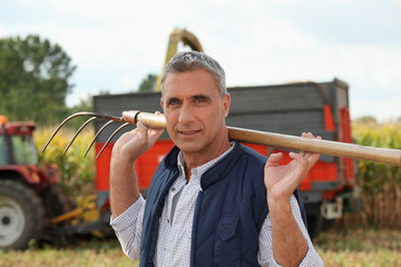 Time to harvest