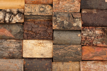 bark of different trees, background