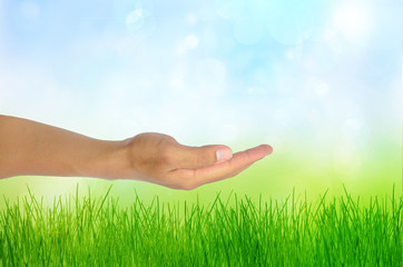 Eco concept  Hand   and green background