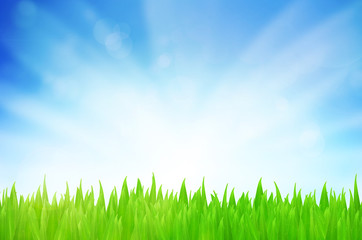 Spring nature background with grass and blue sky in the back