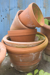 Clay flower pots, gardening