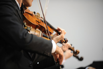 violinist © stokkete