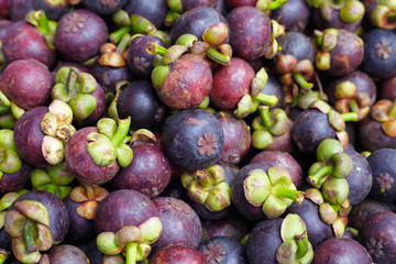 Mangosteen