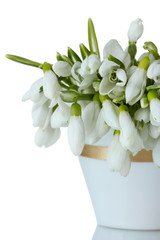 beautiful bouquet of snowdrops in vase isolated on white