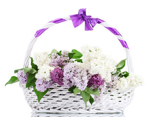 beautiful lilac flowers in basket isolated on white