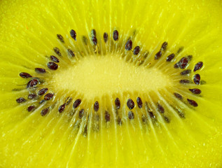 extreme close up of slice of kiwi fruit