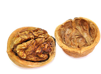 open shell of walnut on white background