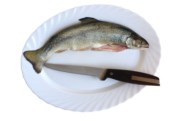 trout on plate
