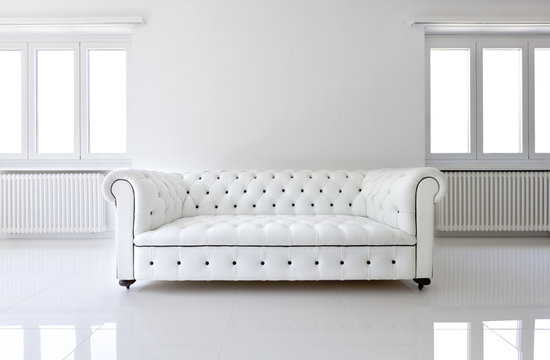 interior, leather sofa  in white room