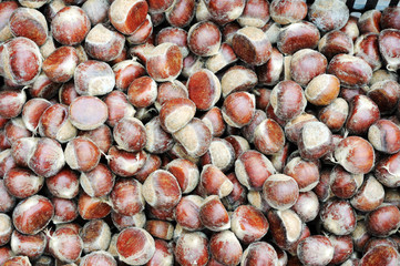 Raw chestnuts