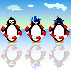 penguin summer three vector illustration