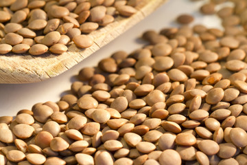 Lentil on a wooden spoon
