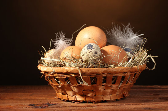chicken and quail eggs in a nest