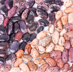 Color kidney beans on background