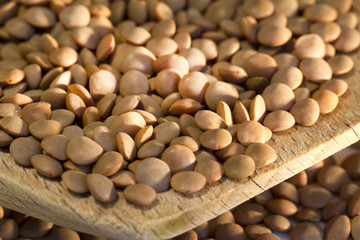 Lentil on a wooden spoon