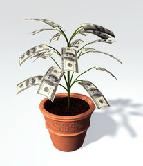 A hundred dollars banknote small tree in a vase