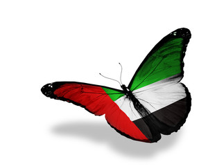 UAE flag butterfly flying, isolated on white background