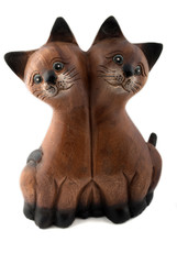 two cats isolated on white background