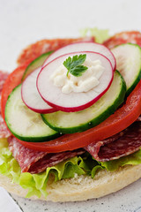 Delicious ham, cheese and salami sandwich