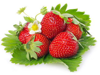 Fresh strawberry