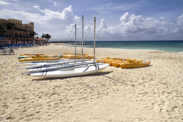 Group of Sail Boats