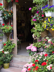 Fototapeta na wymiar Flowershop in Budapest Hungary