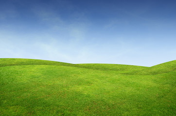 Fototapeta premium Green grass landscape