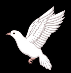 Fototapeta na wymiar White Dove Flying