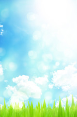 abstract spring green background and light reflect