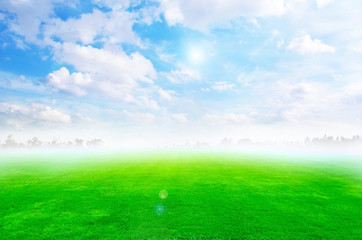 Green field and sky blue with white cloud