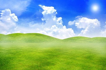 Green grass landscape