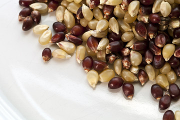 Red and yellow corn. Popcorn