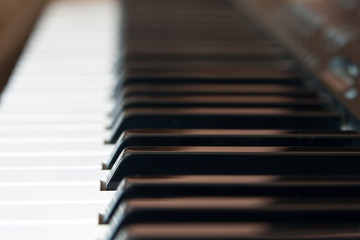 Piano keyboard.