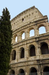 Fototapeta premium Colosseum in Rome