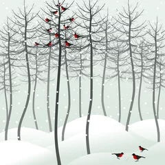 Peel and stick wall murals Birds in the wood Bird in wood
