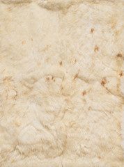 Beige leathers of rabbits, four pieces together