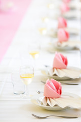 Conference or wedding dinner table