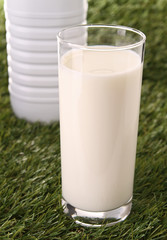 glass of milk